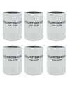 HERO Fuel Filter Spin-On Replaces HH16643560 6003119650 P502163 3339